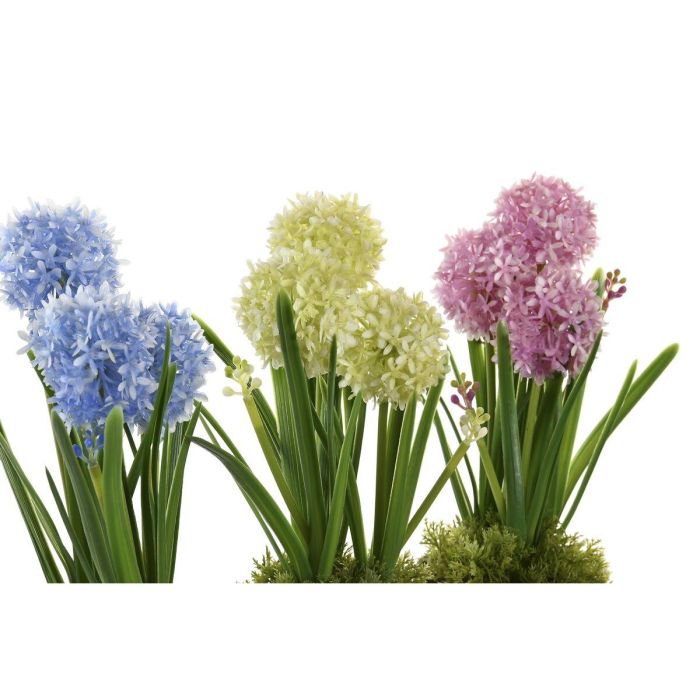 Planta DKD Home Decor Rosa Azul 15 x 30 x 15 cm (3 Unidades) 2 Planta DKD Home Decor Rosa Azul 15 x 30 x 15 cm (3 Unidades) 2
