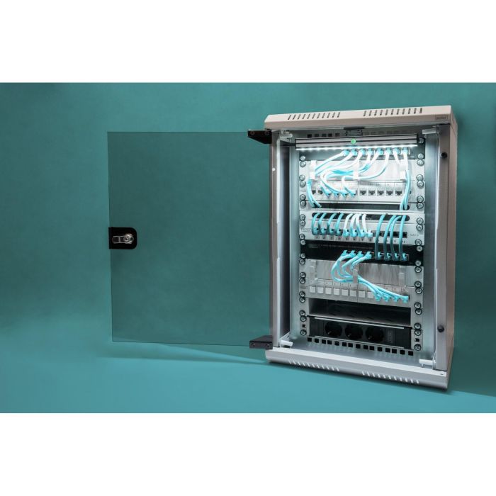 DIGITUS Carcasa Mural Combinada 254 mm (10") y 482.6 mm (19") 10U Acero IP20, Gris 10