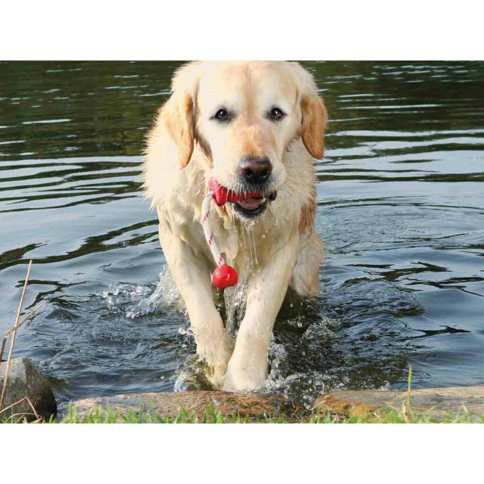 Juguete para perros Trixie 22 cm 2 Juguete para perros Trixie 22 cm 2