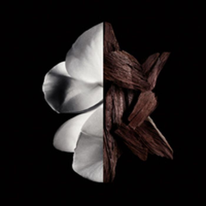 Givenchy Gentleman BoisÉE Eau de Parfum Hombre 200 ml Amaderada Floral Especiada Givenchy Gentleman BoisÉE Eau de Parfum Hombre 200 ml Amaderada Floral Especiada