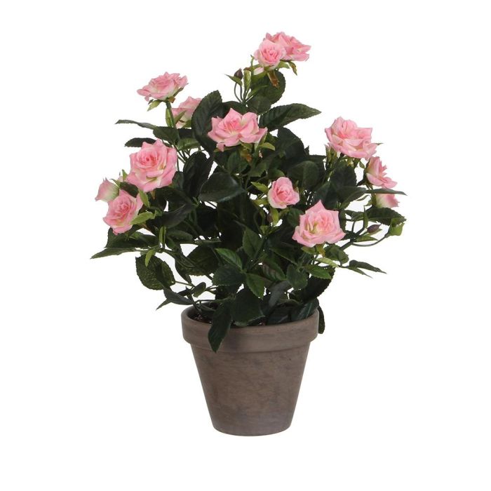 Mica Decorations Rosal Rosa PVC con Maceta Cerámica Gris Ø11.5x33x25cm Mica Decorations Rosal Rosa PVC con Maceta Cerámica Gris Ø11.5x33x25cm