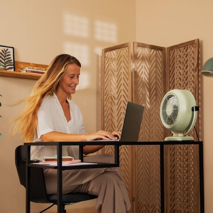 Ventilador de Sobremesa Cecotec EnergySilence 800 RetroDesk Verde 20 W 3