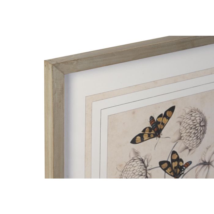 DKD Home Decor Cuadro Decorativo de Pared Cottage con Diseño Floral, Cristal y Abeto, Gris Verde, 70 x 50 cm (Set de 4) 1 DKD Home Decor Cuadro Decorativo de Pared Cottage con Diseño Floral, Cristal y Abeto, Gris Verde, 70 x 50 cm (Set de 4) 1