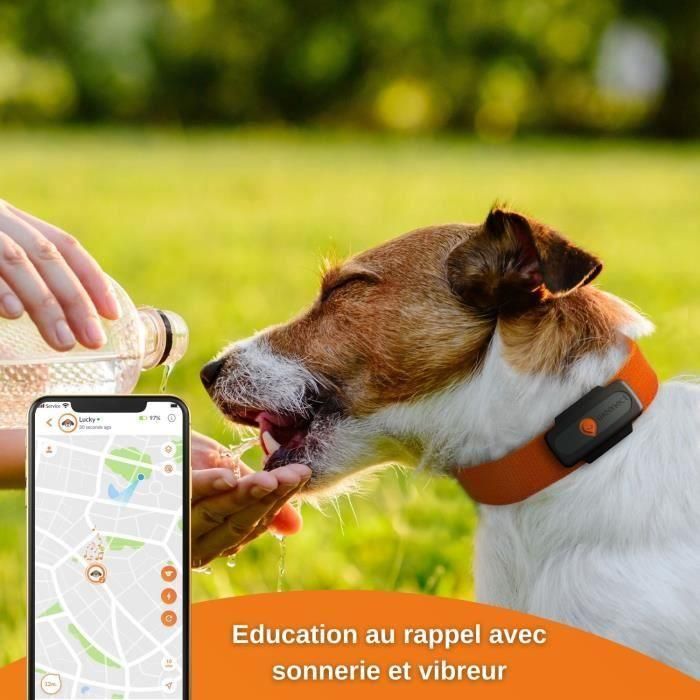 GPS Tracker for Dogs - Weenect XS (Black Edition 2023) 2