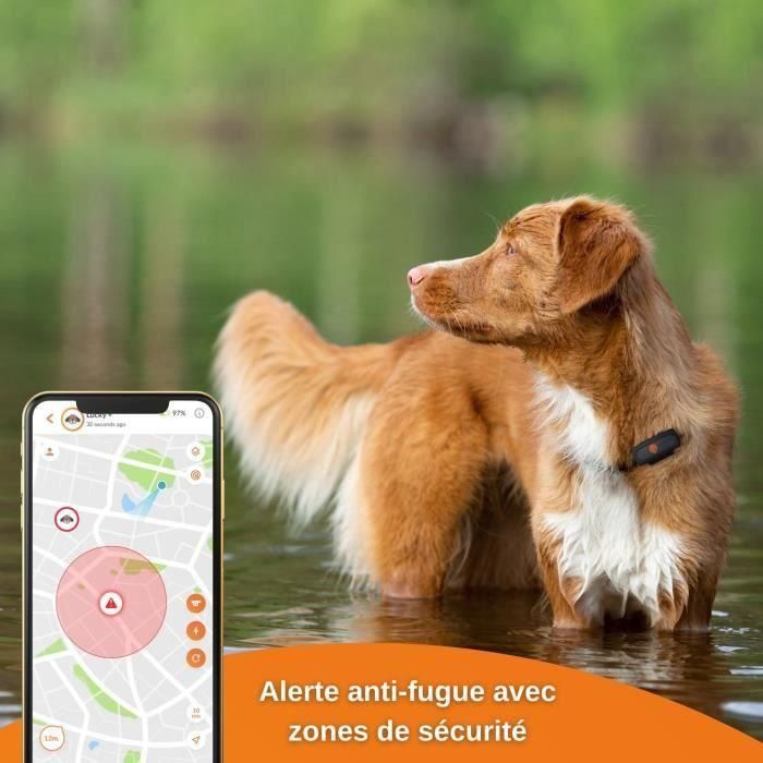 GPS Tracker for Dogs - Weenect XS (Black Edition 2023) 5