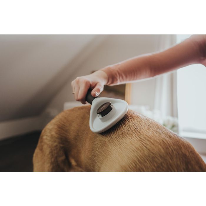 Hunter Cepillo Cardar Autolimpiable para Perros Talla S, Púas Acero Inoxidable. Elimina Pelo Muerto y Subpelo, Mango Ergonómico Marrón. 6 Hunter Cepillo Cardar Autolimpiable para Perros Talla S, Púas Acero Inoxidable. Elimina Pelo Muerto y Subpelo, Mango Ergonómico Marrón. 6