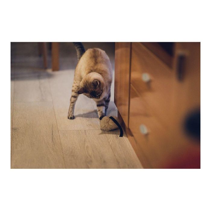 Gloria Ratoncito Con Rabito De Cuero De Conejo Natural Juguete Para Gato Hecho En España