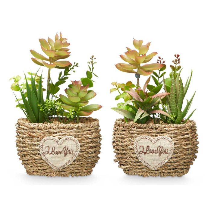 Maceta Ovalada Surtidos Ibergarden 14X22CM (12 Unidades) 1 Maceta Ovalada Surtidos Ibergarden 14X22CM (12 Unidades) 1