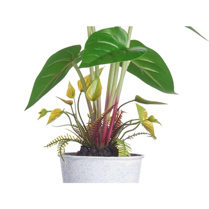 Planta Lirio Bote Metal Surtidos Ibergarden 15X34CM (12 Unidades) 3 Planta Lirio Bote Metal Surtidos Ibergarden 15X34CM (12 Unidades) 3