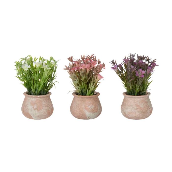 Maceta Terracota Baja Con Flores Surtidos Colores Ibergarden 15X23CM (12 Unidades) 1 Maceta Terracota Baja Con Flores Surtidos Colores Ibergarden 15X23CM (12 Unidades) 1