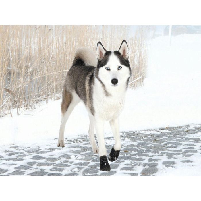 Botas Trixie 19465 Negro L 4