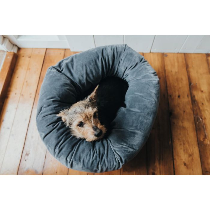 Cama para Perro Hunter Miranda Gris 50 x 50 cm 2 Cama para Perro Hunter Miranda Gris 50 x 50 cm 2