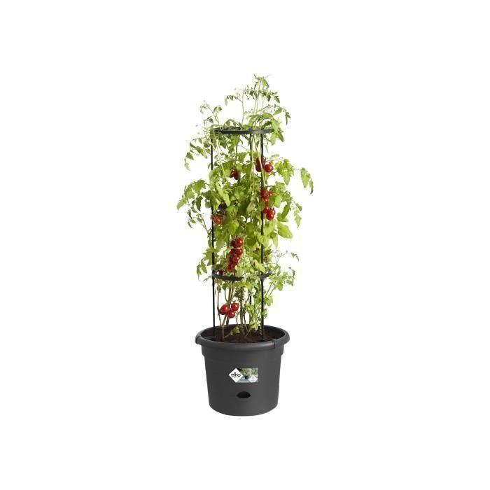 Elho Pote de Tomate Green Basics con Estaca Circular y Tanque de Agua 33 cm Negro Brillante 2 Elho Pote de Tomate Green Basics con Estaca Circular y Tanque de Agua 33 cm Negro Brillante 2