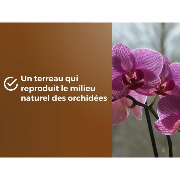 Or Brun OBRTORC6U Tierra para orquídeas BROWN GOLD 6L - Favorece el crecimiento 3