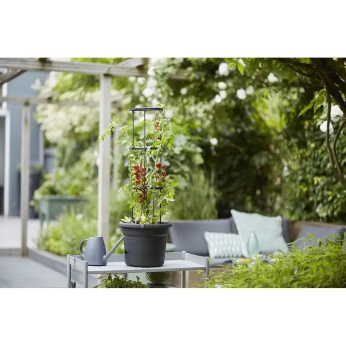 Elho Green Basics Pote para Tomate 33 cm Negro Brillante 5 Elho Green Basics Pote para Tomate 33 cm Negro Brillante 5