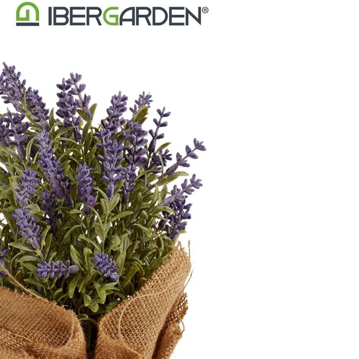 Lavanda Maceta Saco Pequeña 17X25Cm Ibergarden (12 Unidades) 2 Lavanda Maceta Saco Pequeña 17X25Cm Ibergarden (12 Unidades) 2