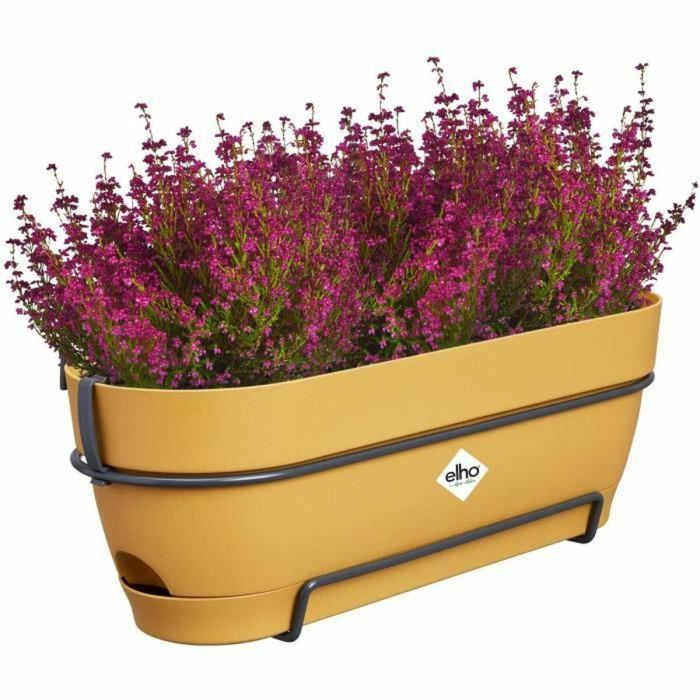Elho ELH8711904522414 Plantador Rectangular Vibia de Plástico Ø50 Miel Amarilla 5 Elho ELH8711904522414 Plantador Rectangular Vibia de Plástico Ø50 Miel Amarilla 5