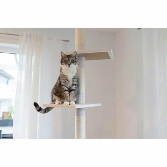 Kerbl FER4018653282038 Árbol para gatos Ferdi, 38 x 38 x 240 a 260 cm, Blanco, Sisal 4 Kerbl FER4018653282038 Árbol para gatos Ferdi, 38 x 38 x 240 a 260 cm, Blanco, Sisal 4