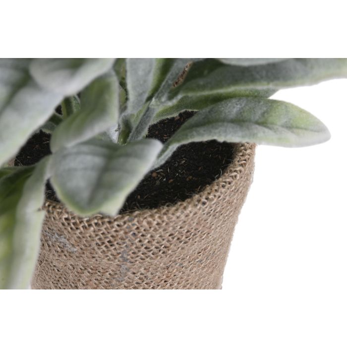 Planta  DKD Home Decor Verde Natural 13 x 25 x 13 cm (6 Unidades) 3 Planta  DKD Home Decor Verde Natural 13 x 25 x 13 cm (6 Unidades) 3