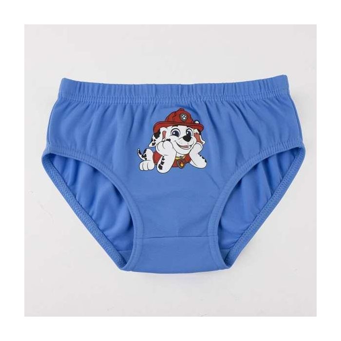 Cerdá Pack Calzoncillos Single Jersey 3 Piezas Paw Patrol T04/05
