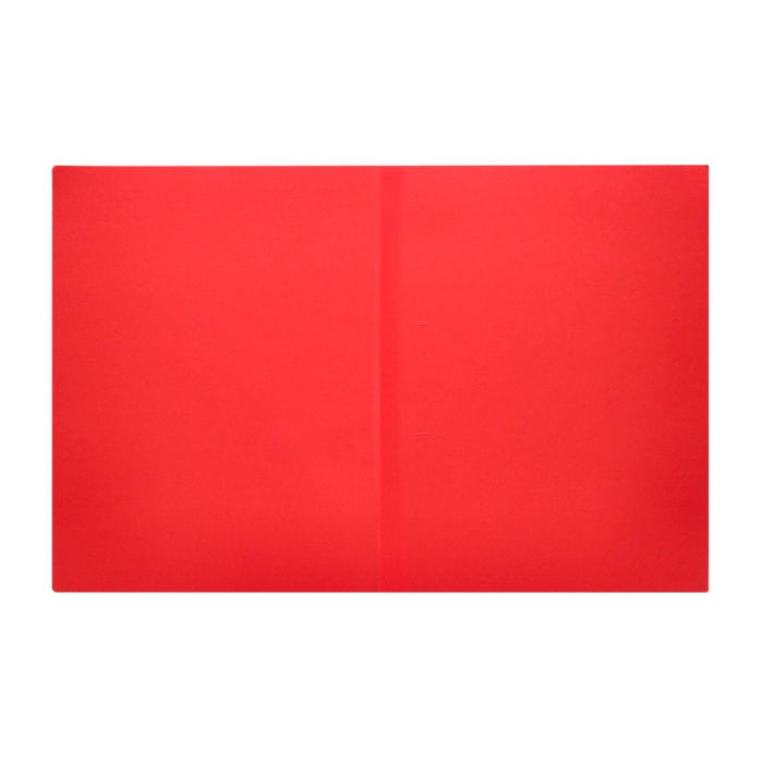 Liderpapel Subcarpeta Archivador DIN A4 Rojo Intenso 180g/m2 4