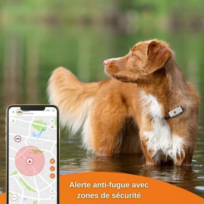 GPS Tracker for Dogs - Weenect XS (Edición White 2023) 3 GPS Tracker for Dogs - Weenect XS (Edición White 2023) 3