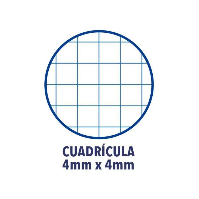 Oxford Cuaderno Espiral 80H Folio 4x4M Con Margen Tapa Blanda Pack 4+1 Unidades Surtidos Tendencia 1 Oxford Cuaderno Espiral 80H Folio 4x4M Con Margen Tapa Blanda Pack 4+1 Unidades Surtidos Tendencia 1
