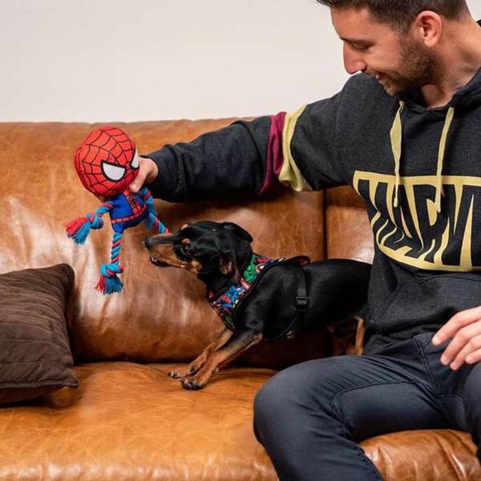 Juguete para perros Spider-Man 4 Juguete para perros Spider-Man 4