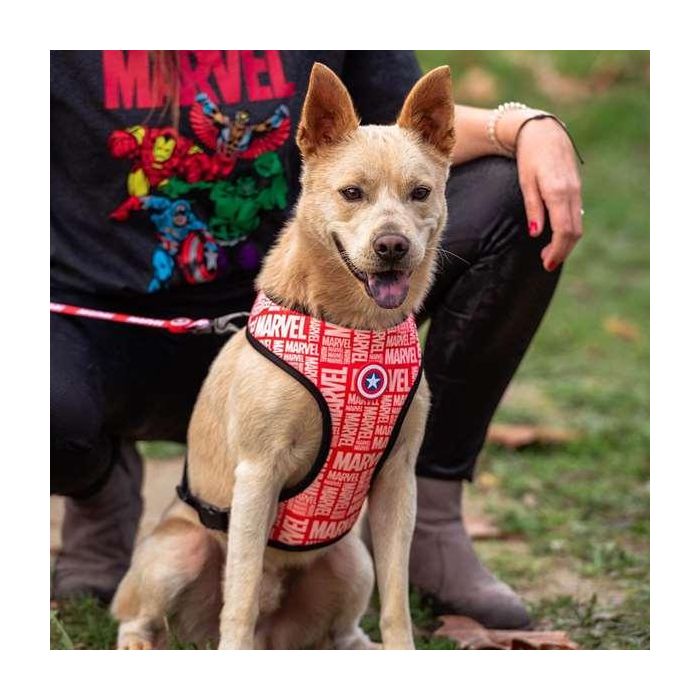 Cerdá Arnés para Perros Marvel Oficial, Talla XXS/XS, Diseño Comics Rojo para Mascotas Pequeñas 3 Cerdá Arnés para Perros Marvel Oficial, Talla XXS/XS, Diseño Comics Rojo para Mascotas Pequeñas 3