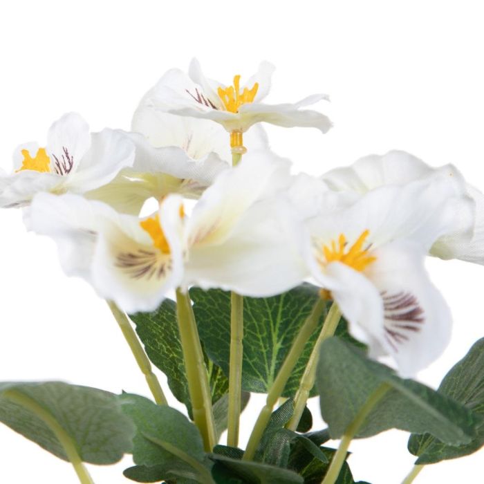 Planta Pensamiento 3/M Blanco 19 X 19 X 20 cm