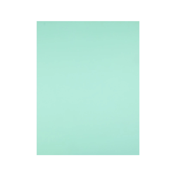 Liderpapel Cartulina 50x65 cm Verde 180g/m2 Paquete de 25 Hojas para Dibujo y Manualidades 2