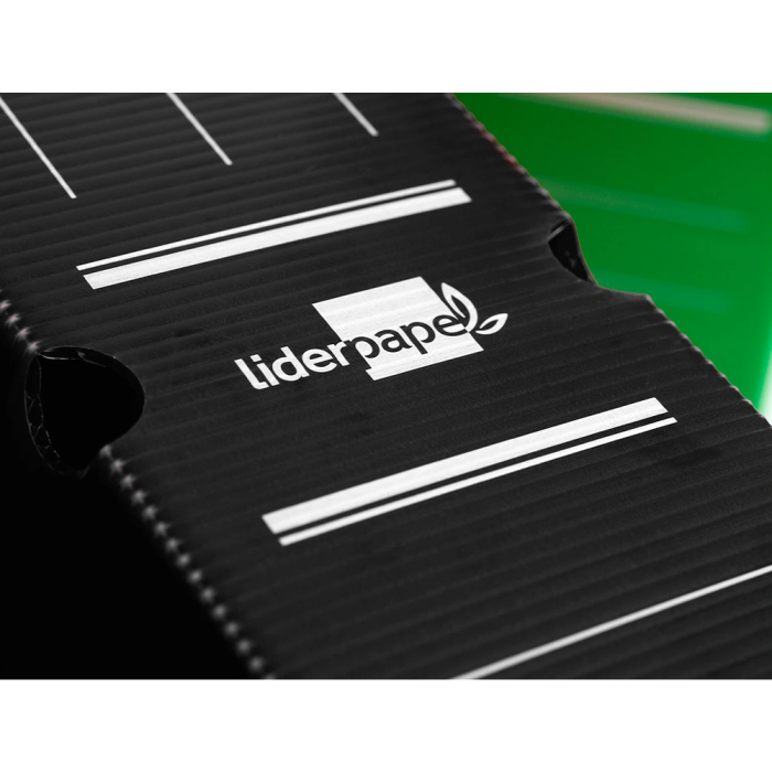 Liderpapel Caja archivo definitivo plástico lomo 100 mm negro 360x100x260 mm 7