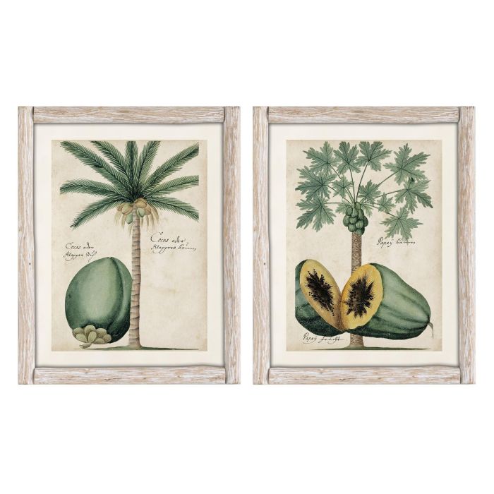 DKD Home Decor Cuadro Tropical de Abeto y Cristal con Palmera Fruta Verde Beige 3.5 x 50 x 40 cm (2 Unidades)