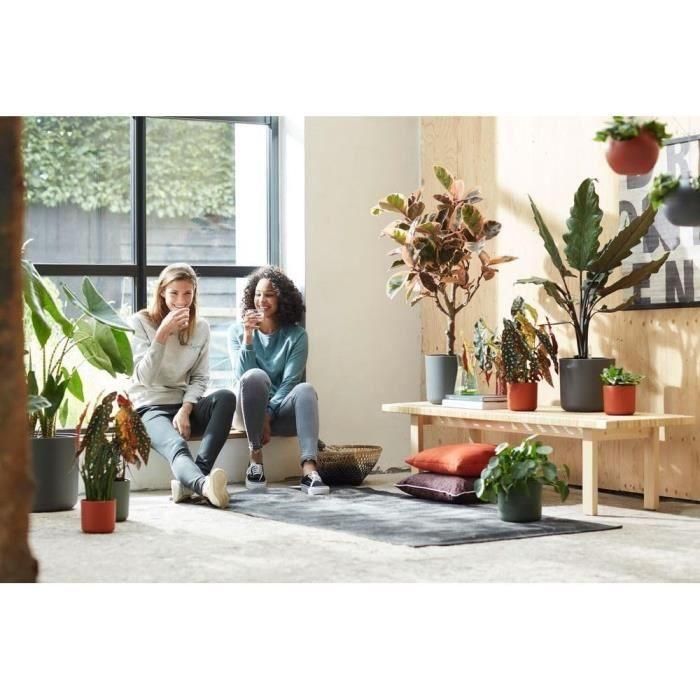 Elho B.for ELH8711904249489, Maceta redonda Soft, Negra, Ø 35 x H 32 cm, para interior, 100% reciclada 5