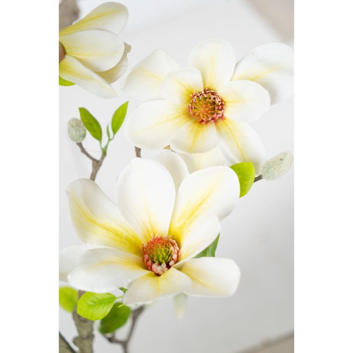 Flores Decorativas Romimex Blanco Magnolia 70 x 150 x 60 cm 1