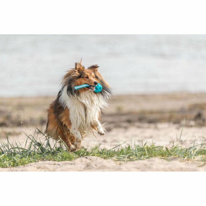 Pelota para Mascotas Trixie Turquesa TPE Bola ø 6 x 23 cm 3 Pelota para Mascotas Trixie Turquesa TPE Bola ø 6 x 23 cm 3