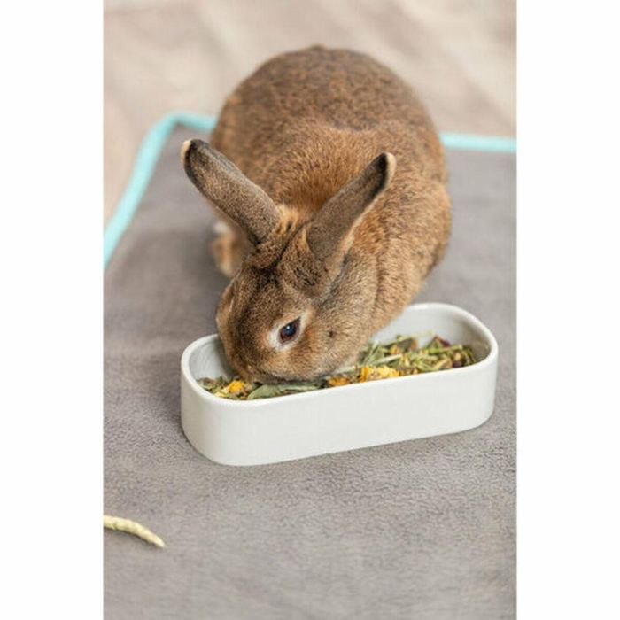 Comedero para Mascotas Trixie 600 ml 1