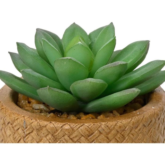 Planta suculenta artificial de 10cm modelos surtidos 809279 3