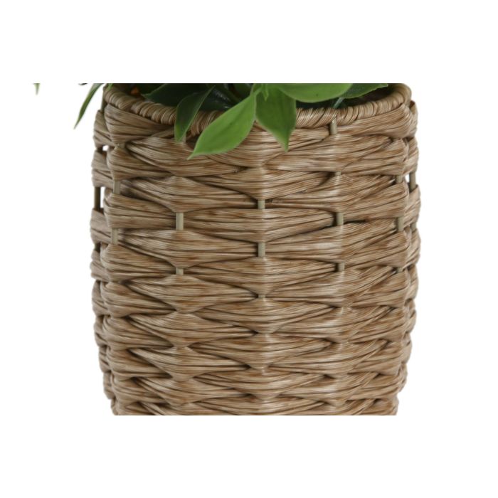 Planta  DKD Home Decor Verde Natural 25.5 x 28 x 25.5 cm (6 Unidades) 3
