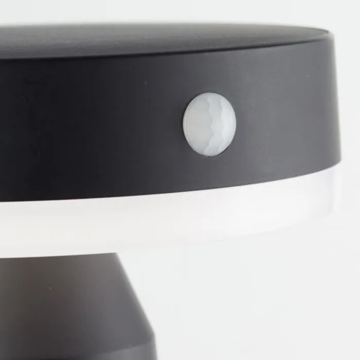 Brilliant BRI4004353437878 Aplique de exterior LED solar Metal y plástico 3,7W Negro 2