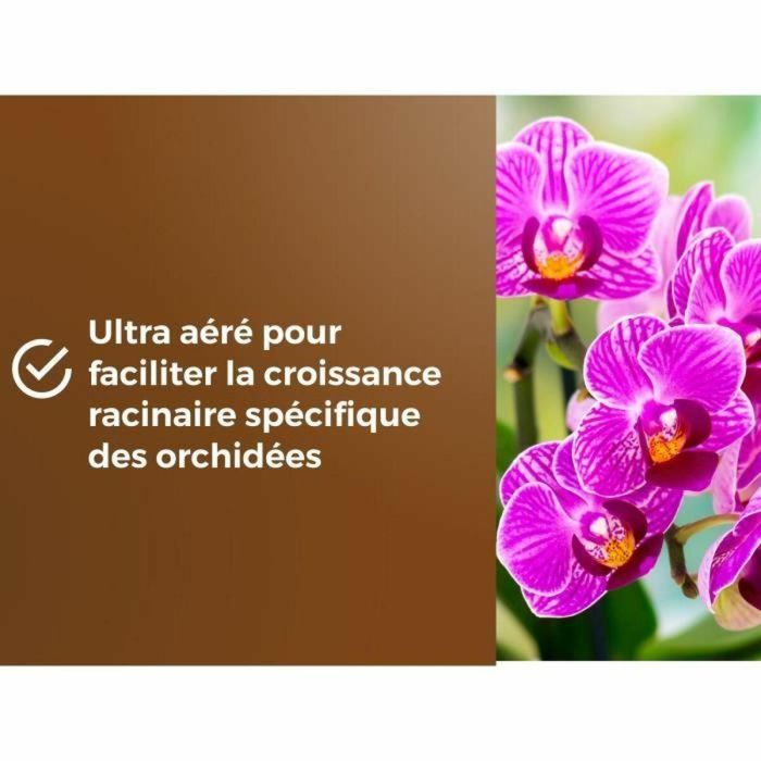 Or Brun OBRTORC6U Tierra para orquídeas BROWN GOLD 6L - Favorece el crecimiento 2