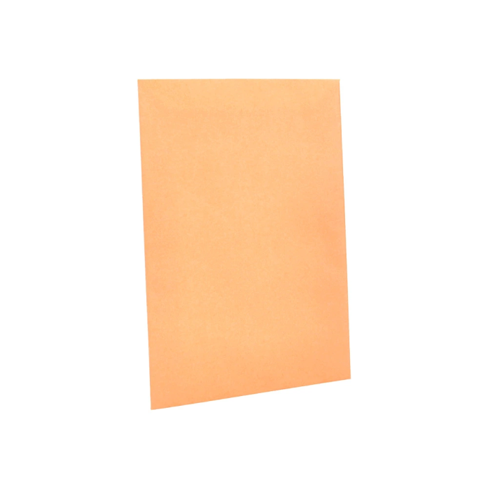 Liderpapel Bolsa N.0 Cel Caña Sobres Salarios 100x145mm Tira Silicona Caja 1000 Unidades 5