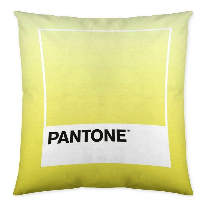 Funda de cojín Ombre C Pantone Localization_B086JQZYZH Reversible 50 x 50 cm 1