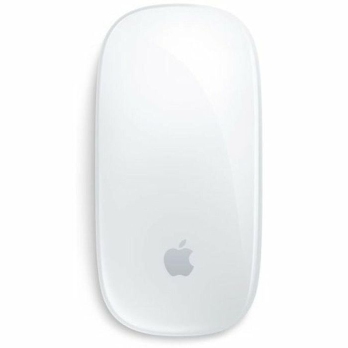 Apple Magic Mouse 2 / USB Tipo-C / Plata