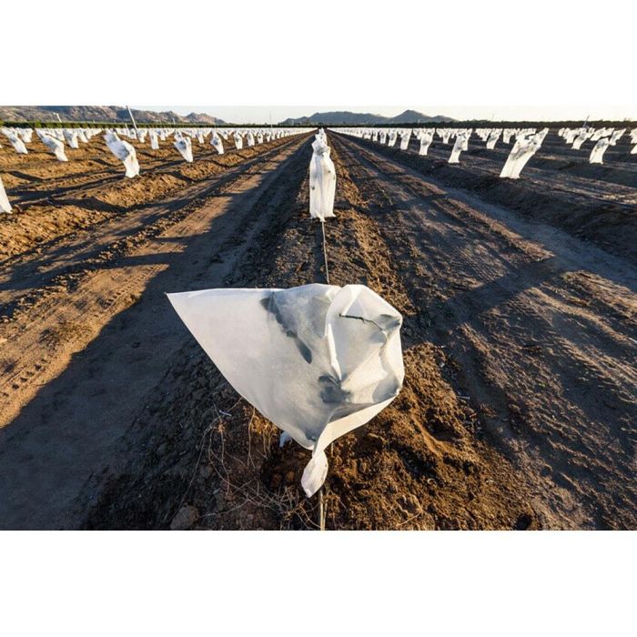 Biotop Ø 1,5 x 1,8 m Capuchas de Protección para Plantas Saco Maxy Artic. Gramaje 30gr/m² Tratamiento UV 9