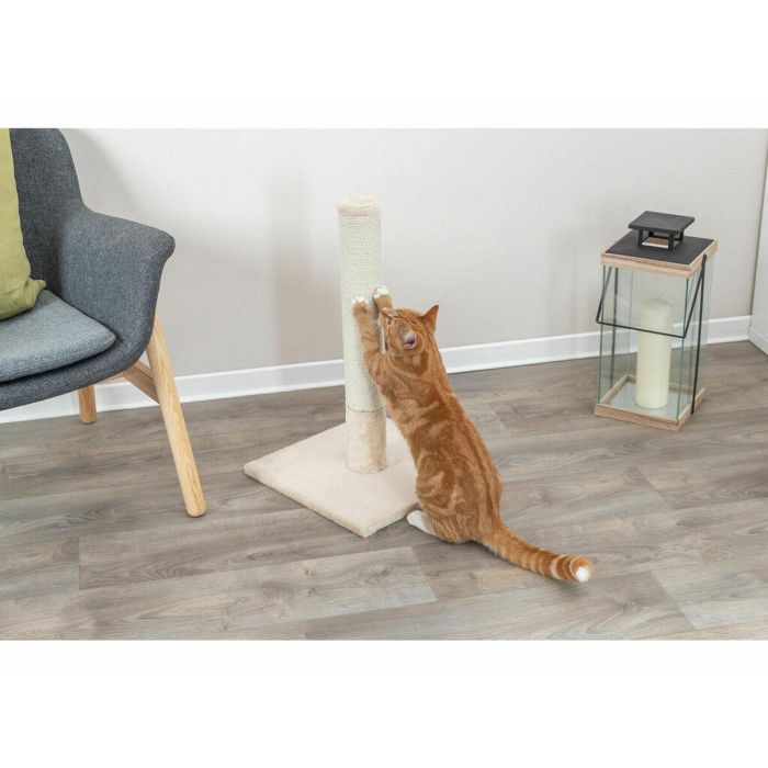Rascador para Gatos Trixie Batres Beige Ø 9 cm 62 cm 2 Rascador para Gatos Trixie Batres Beige Ø 9 cm 62 cm 2