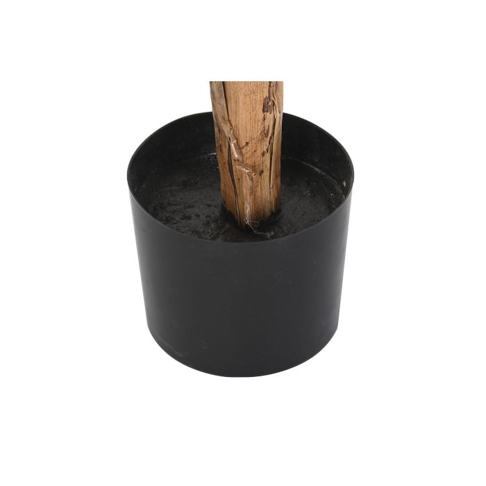 DKD Home Decor Planta Tropical Verde 180 x 80 x 80 cm Poliester y PP (2 Unidades) 3