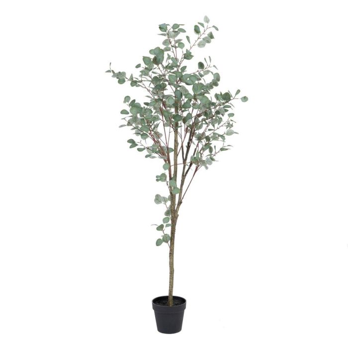 Planta Decorativa Polietileno Eucalipto 80 x 82 x 180 cm Planta Decorativa Polietileno Eucalipto 80 x 82 x 180 cm