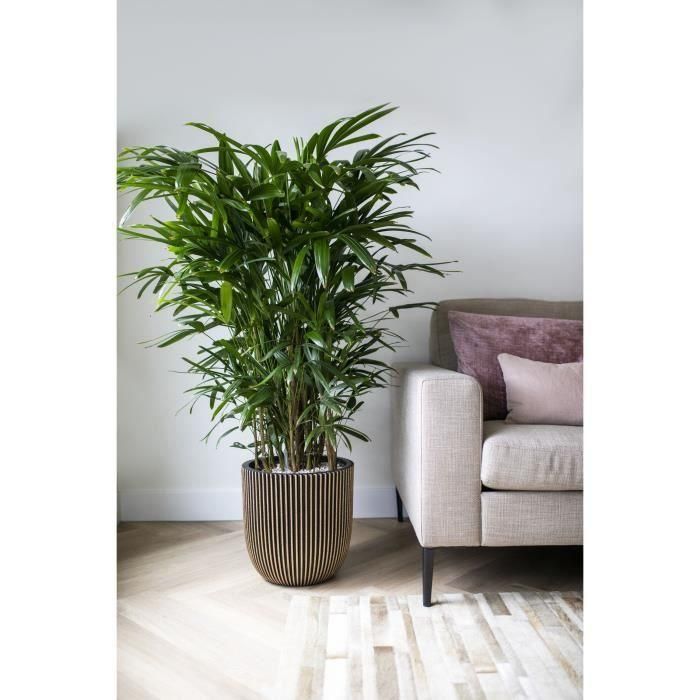 Capi Jardiniere Groove 43x41 cm negro y dorado 445487 3 Capi Jardiniere Groove 43x41 cm negro y dorado 445487 3