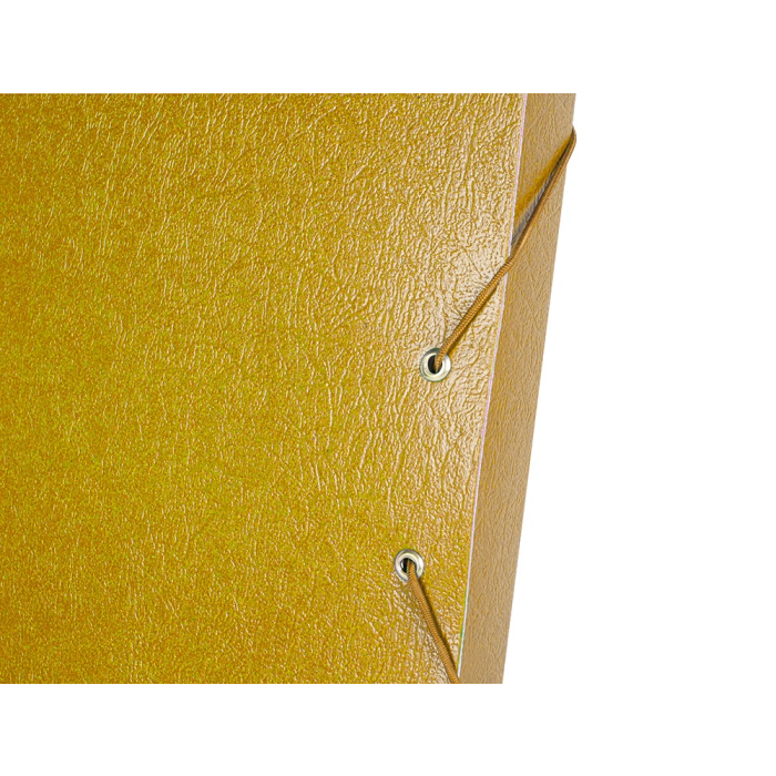 Liderpapel Carpeta Proyectos Folio Lomo 30mm Cartón Gofrado Amarilla 5